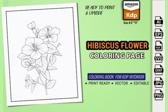 Download Hibiscus Flowers China Rose Color Books - Flowers Collection